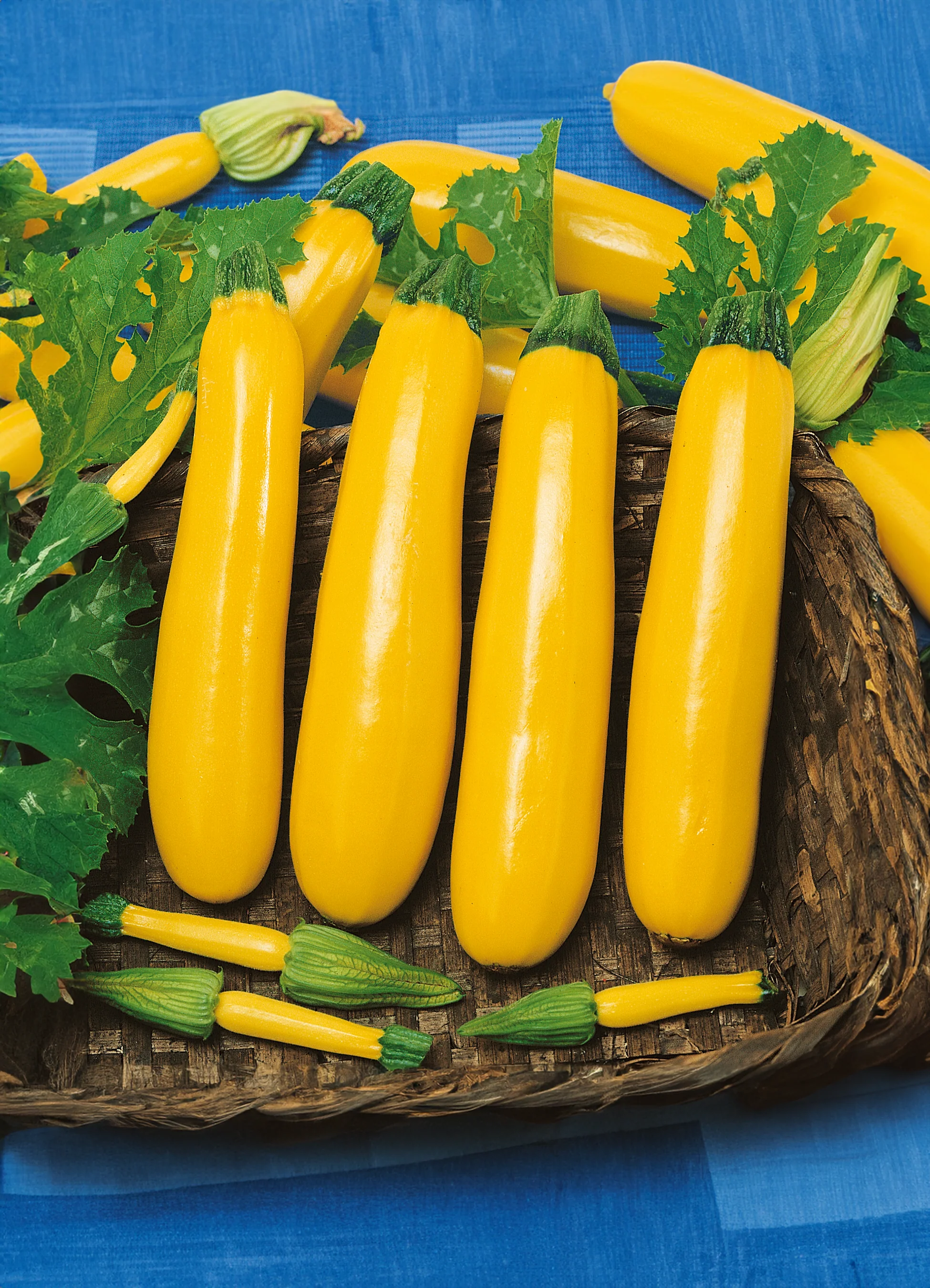 Zucchini | Golden