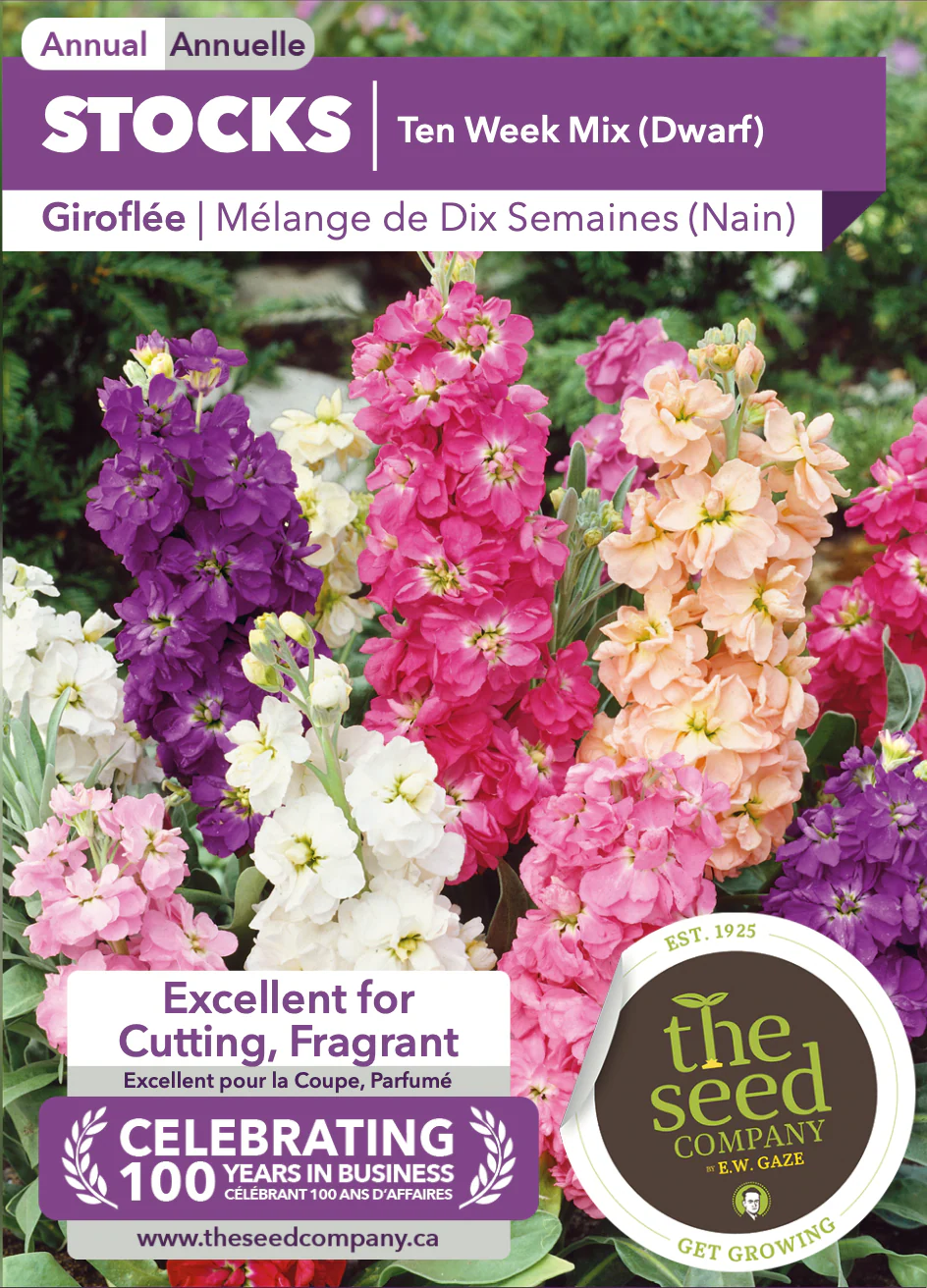 Stocks | Ten Week Mix (Dwarf) - Image 2