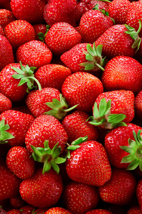 Strawberry | Annapolis (25 Bare Roots)
