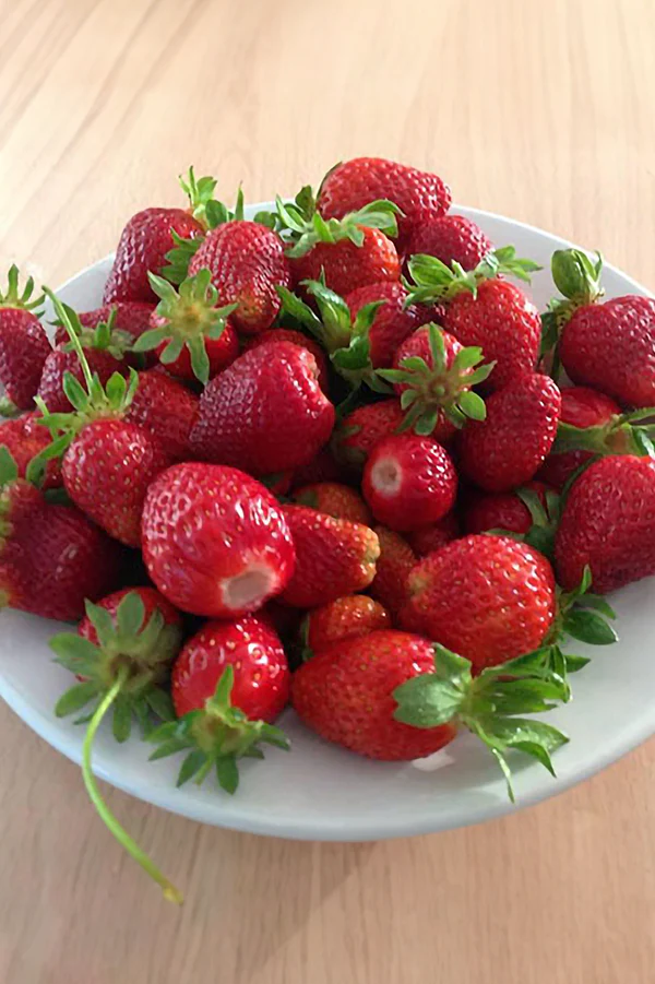 Strawberry | Brunswick (25 Bare Roots)