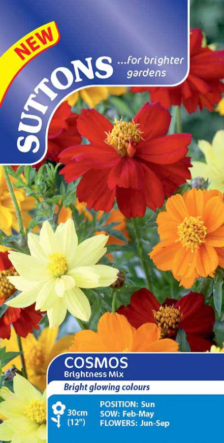 Suttons Seeds - Cosmea 'Brightness Mix'
