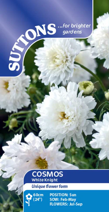 Suttons Seeds - Cosmos 'White Knight'