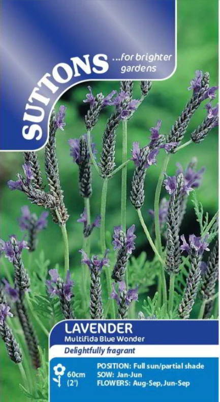 Suttons Seeds - Lavender 'multifida Blue Wonder'