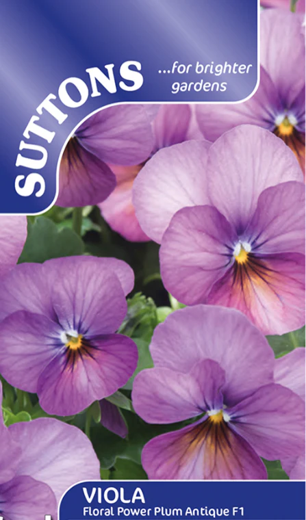 Suttons Seeds - Viola cornuta 'Floral Power Plum Antique' F1