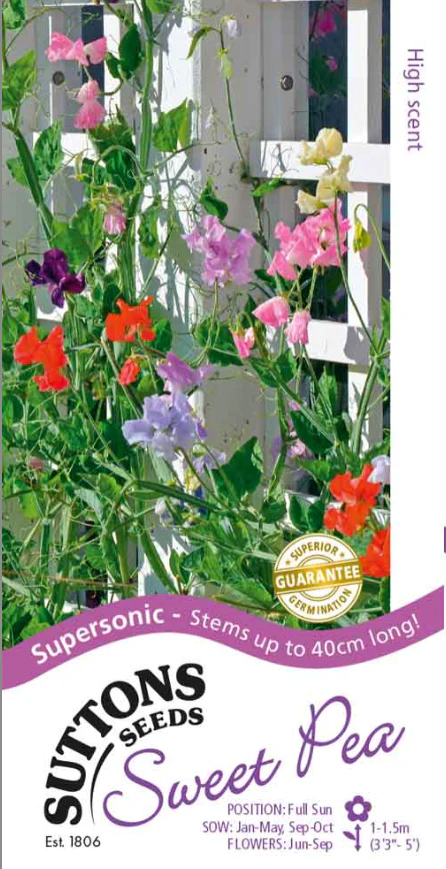 Suttons Seeds - Sweet Pea 'Supersonic'