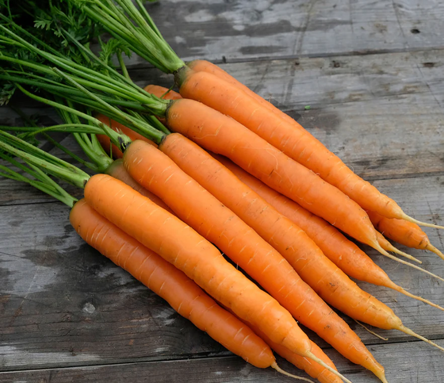 Suttons Seed Tape - Carrot "Amsterdam Forcing"