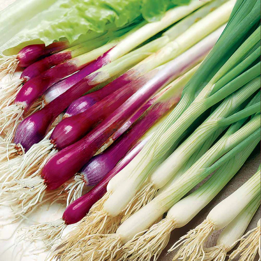 Suttons Seed Tape - Onion 'Red & White Mix'