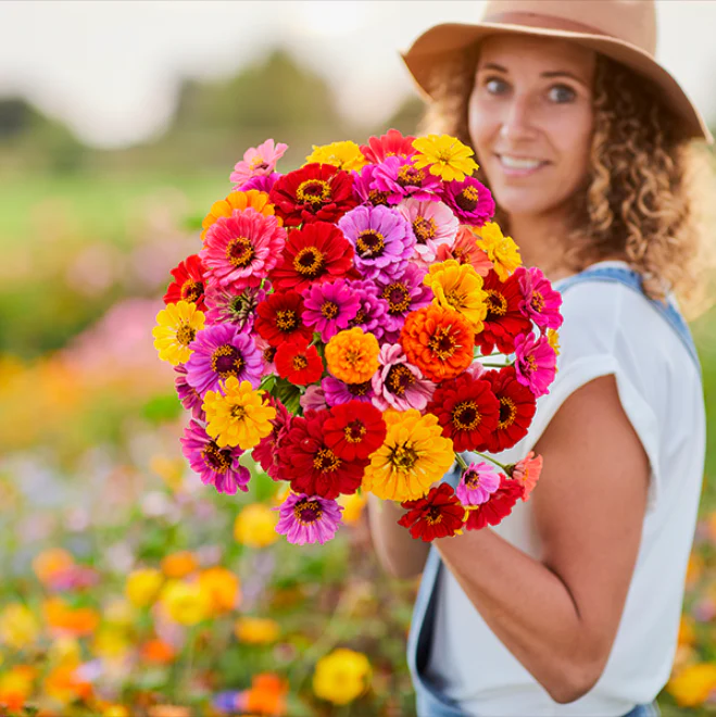Suttons Seeds - Zinnia 'Dahlia Flowered Mixed'