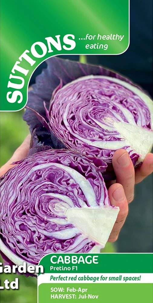 Suttons Seeds - Cabbage Pretino F1