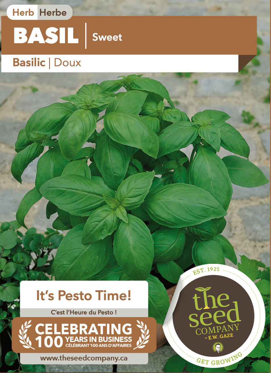 Basil | Sweet - Image 2