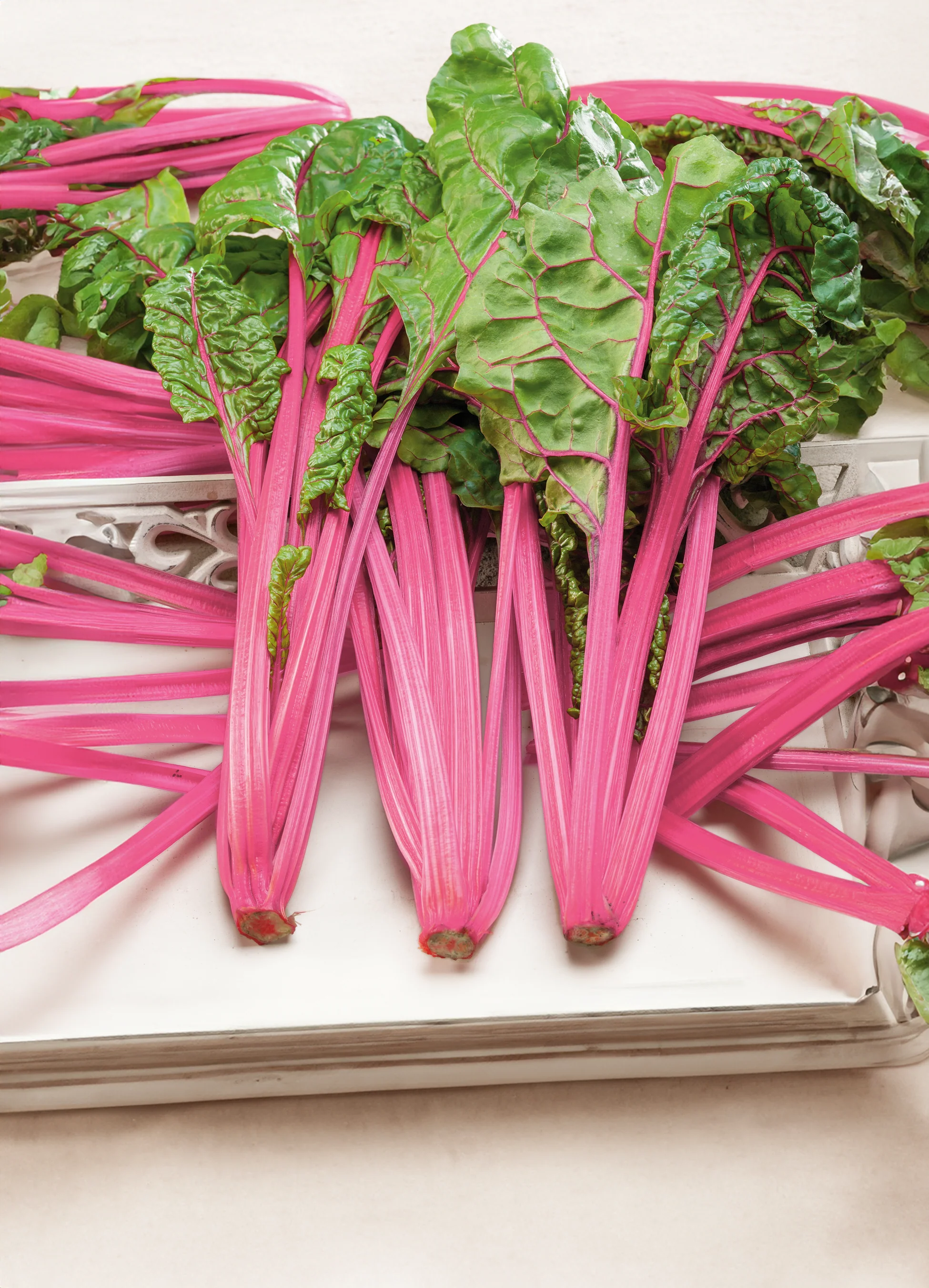 Swiss Chard | Peppermint
