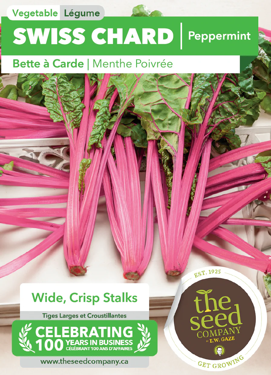 Swiss Chard | Peppermint - Image 2
