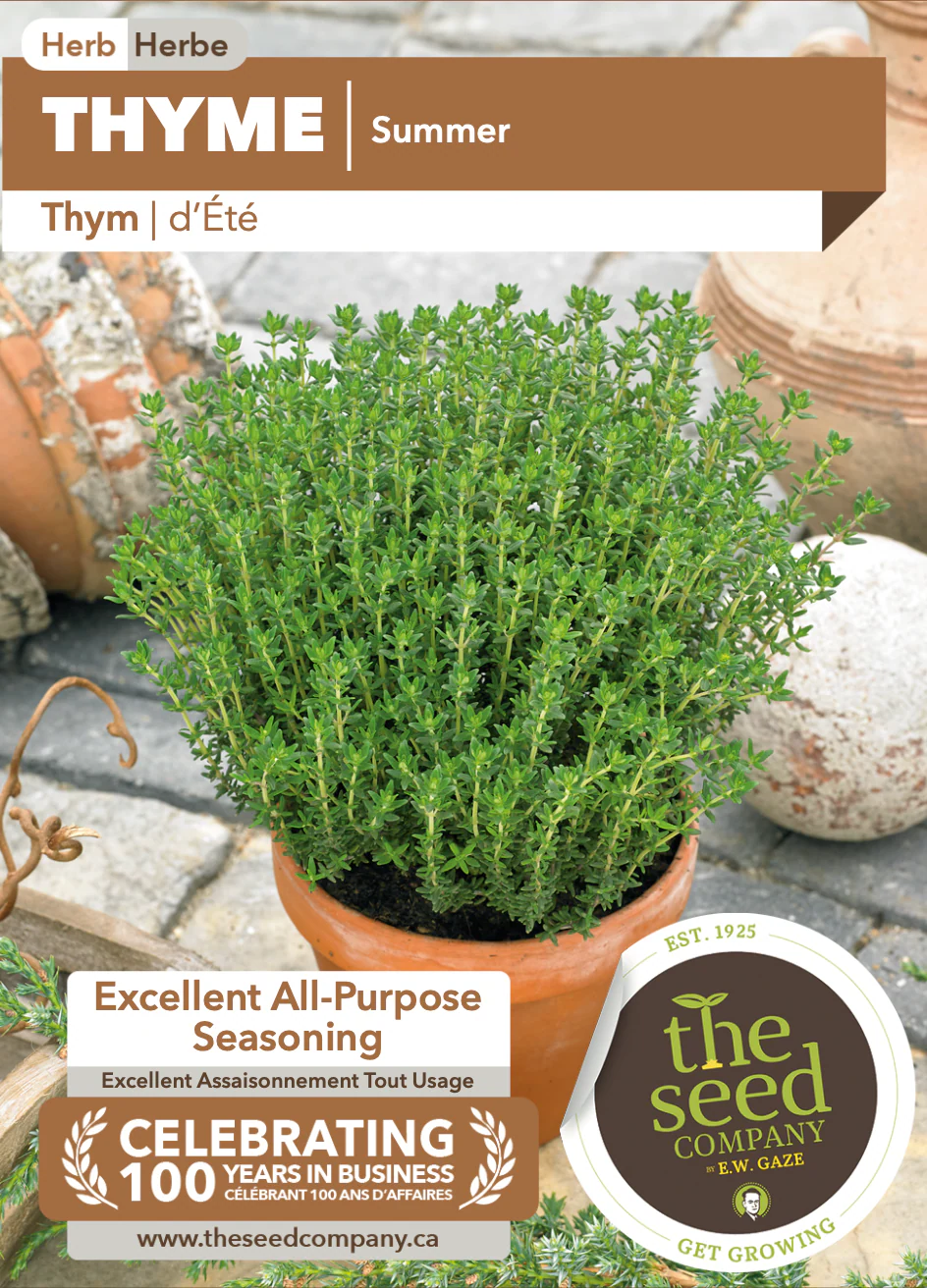 Thyme | Summer - Image 2