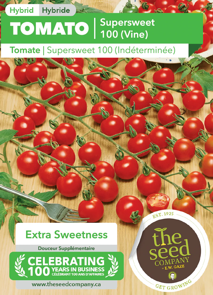 Tomato | Supersweet 100 (Vine) - Image 2