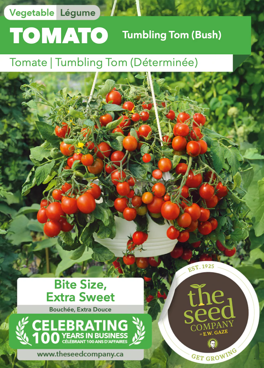 Tomato | Tumbling Tom (Bush) - Image 2