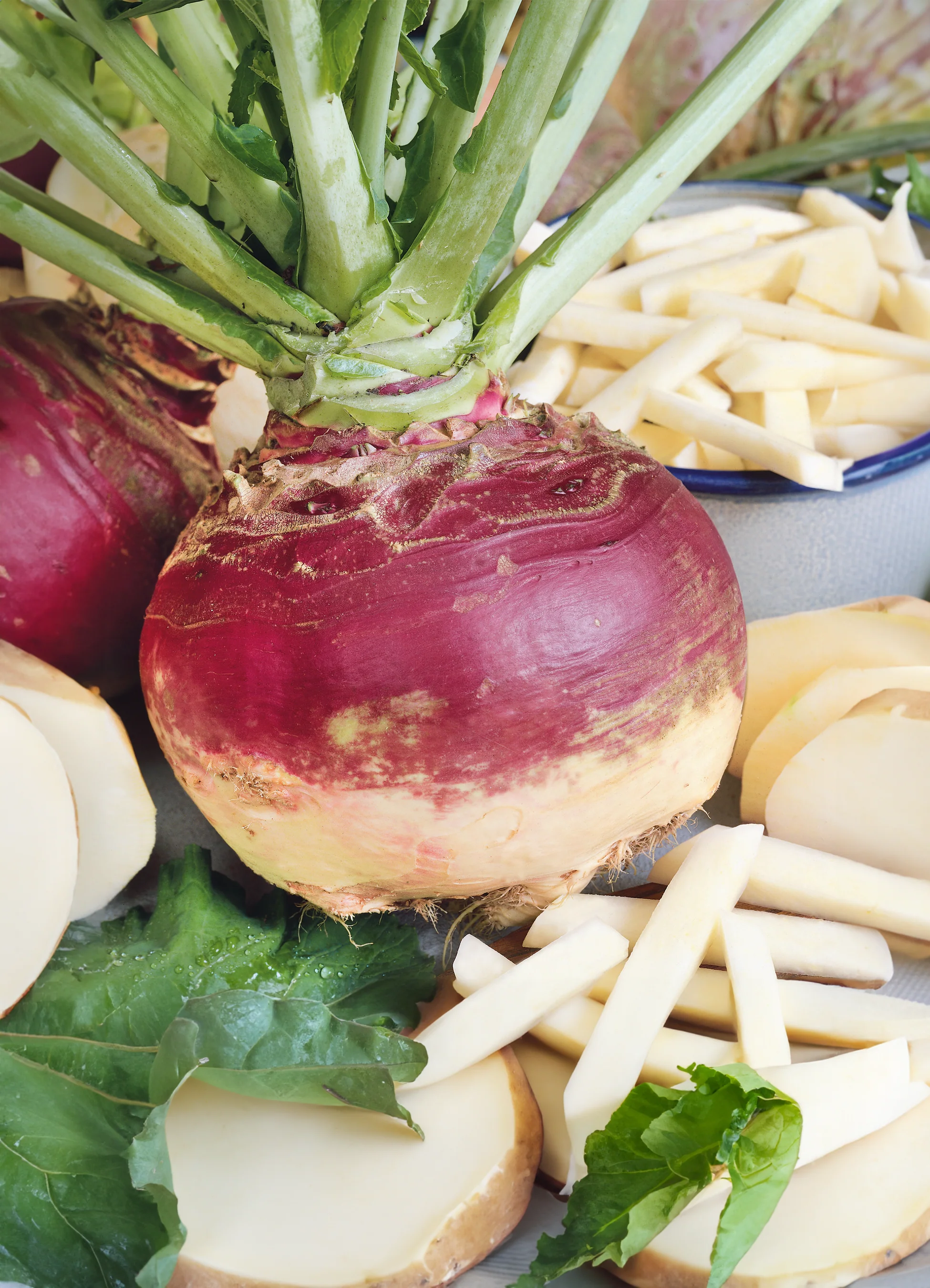 Turnip | York Purple Top