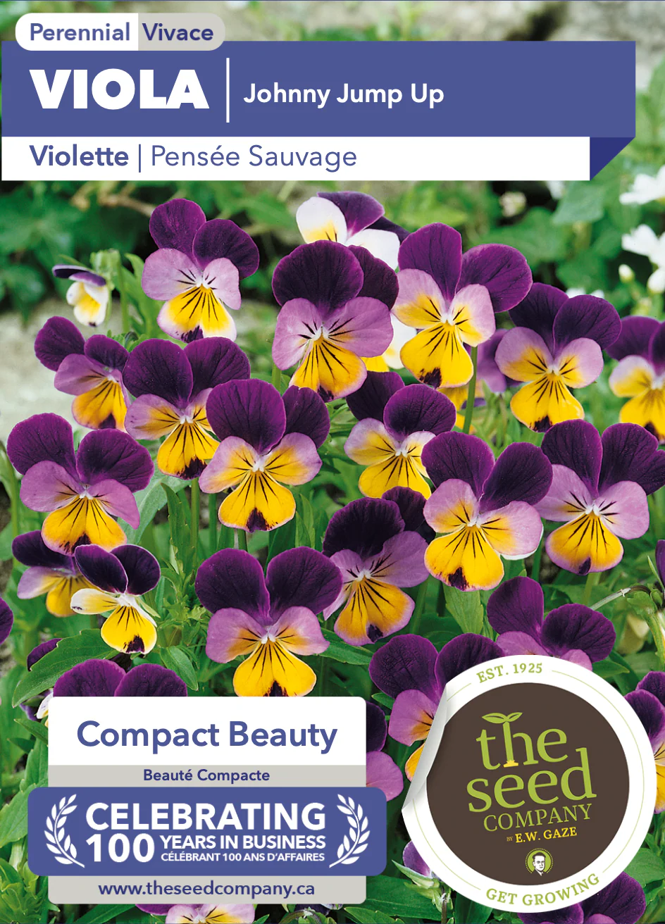 Viola | Johnny Jump Up - Image 2