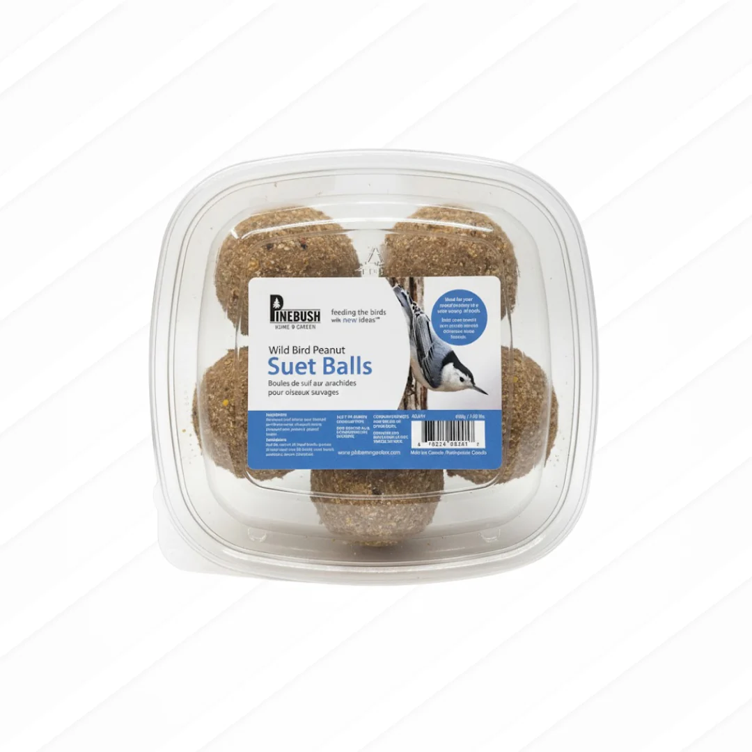 Wild Bird Peanut Suet Balls 6 Pack