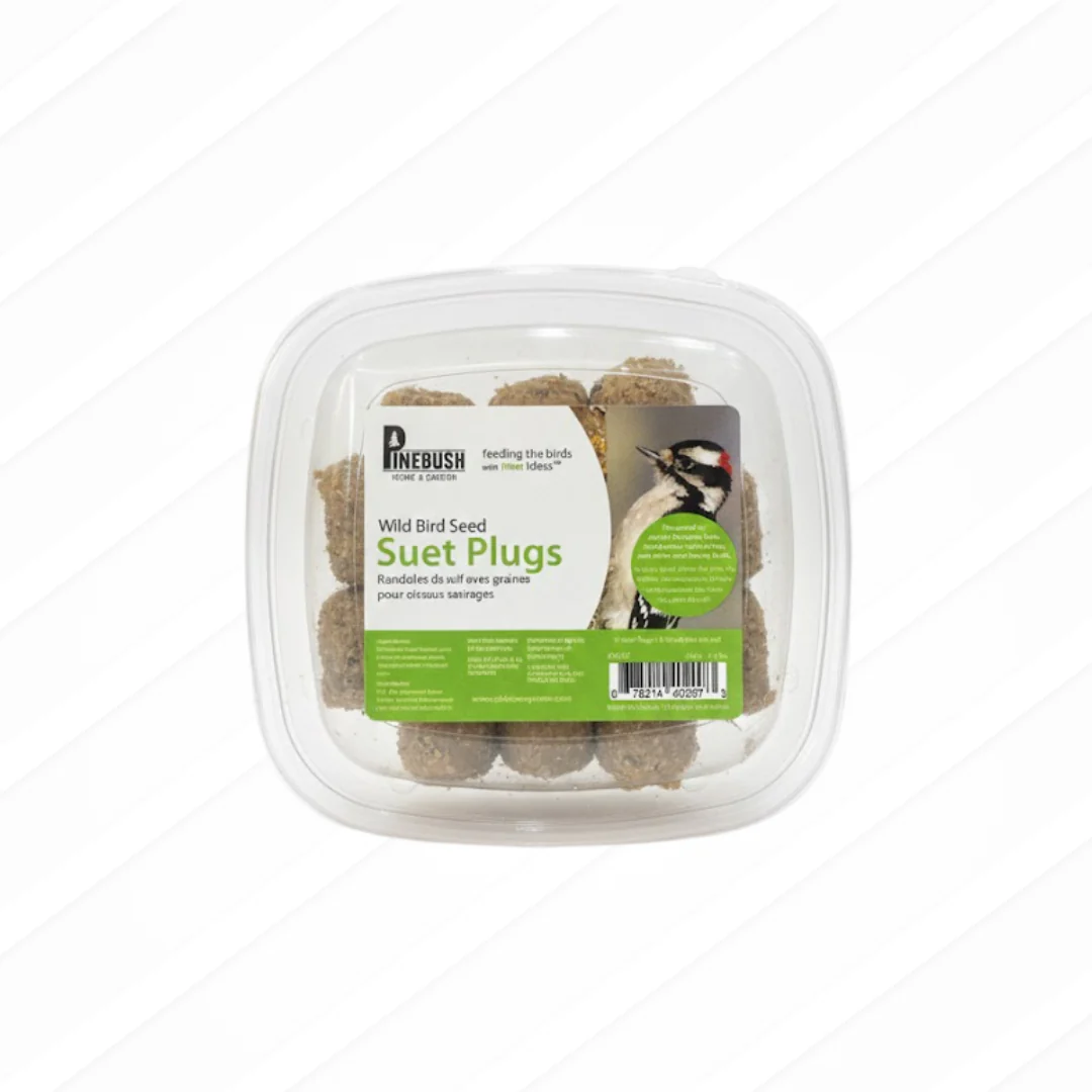 Wild Bird Seed Suet Plugs 8 pack
