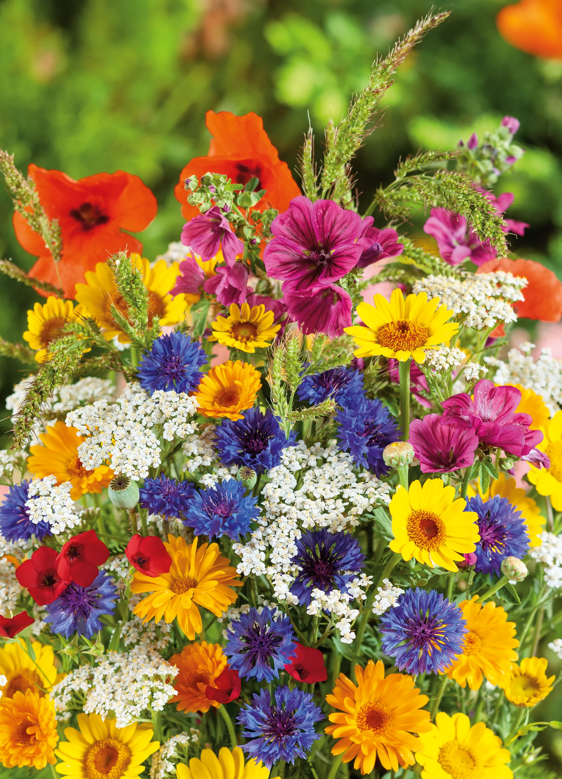 Wildflower Mix
