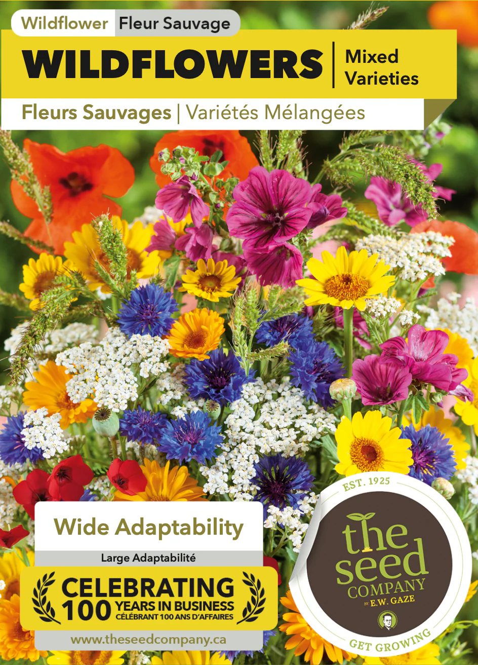 Wildflower Mix - Image 2